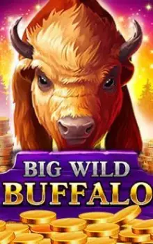 Big Wild Buffalo — Belatra